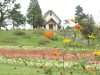 img0022.jpg