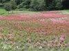 img0023.jpg