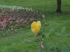 img0024.jpg