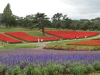 img0053.jpg