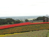 img0054.jpg