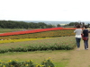 img0055.jpg
