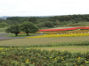 img0056.jpg