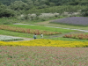 img0066.jpg