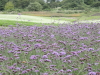 img0067.jpg