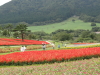 img0071.jpg