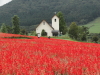 img0073.jpg