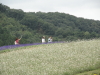 img0078.jpg