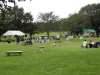 img0089.jpg