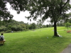 img0092.jpg