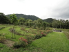 img0093.jpg
