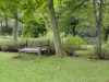 img0096.jpg