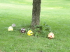 img0097.jpg