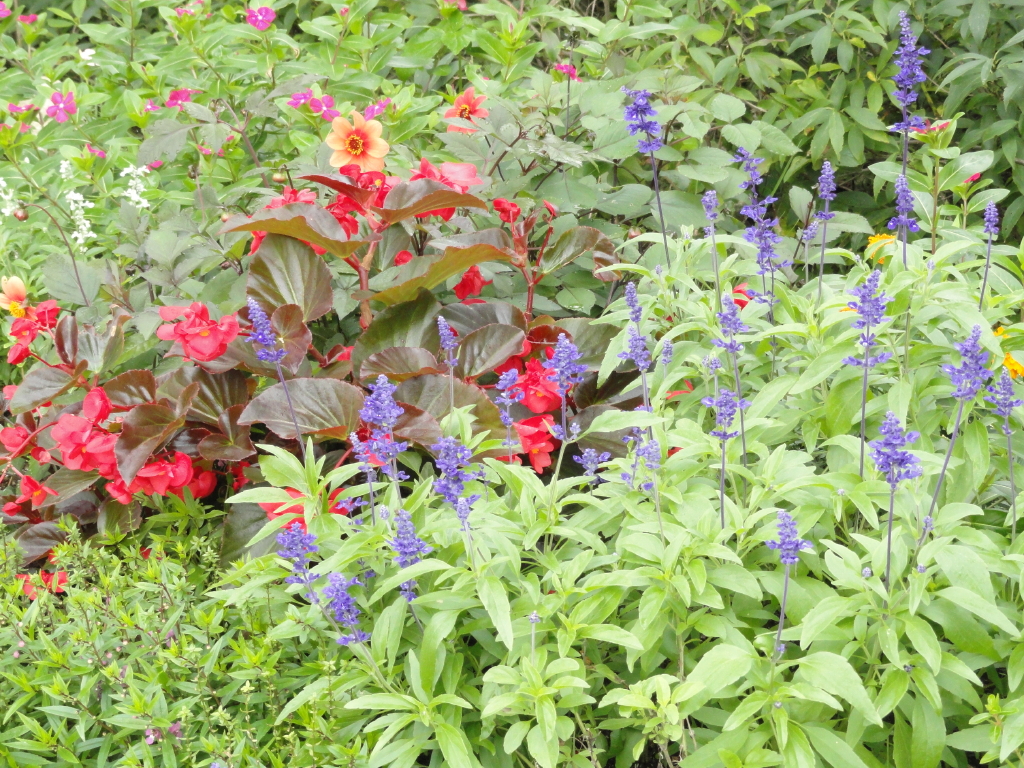 img0005.jpg