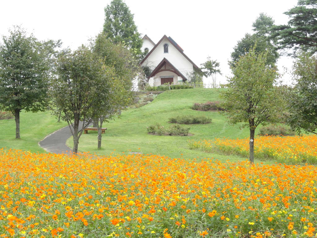 img0016.jpg