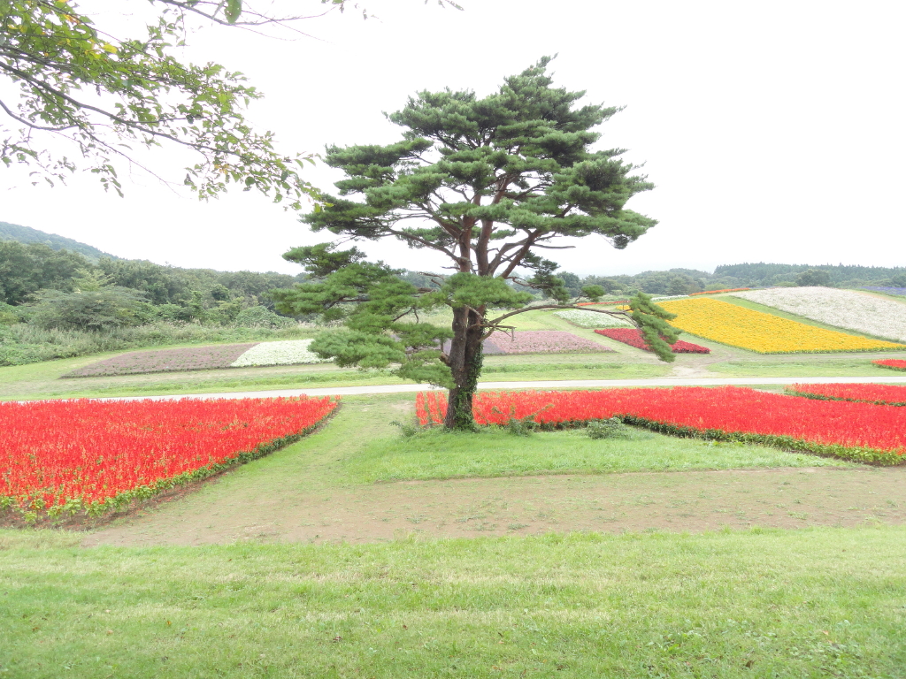 img0018.jpg