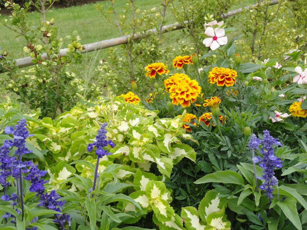 img0077.jpg
