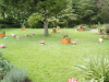 img0006.jpg