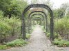 img0008.jpg