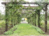 img0009.jpg