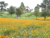 img0015.jpg