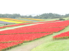 img0020.jpg