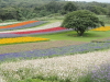 img0038.jpg