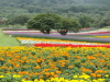 img0044.jpg