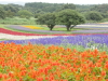 img0053.jpg