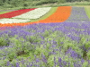 img0054.jpg