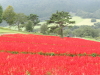 img0070.jpg