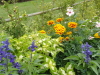 img0077.jpg