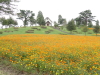 img0083.jpg