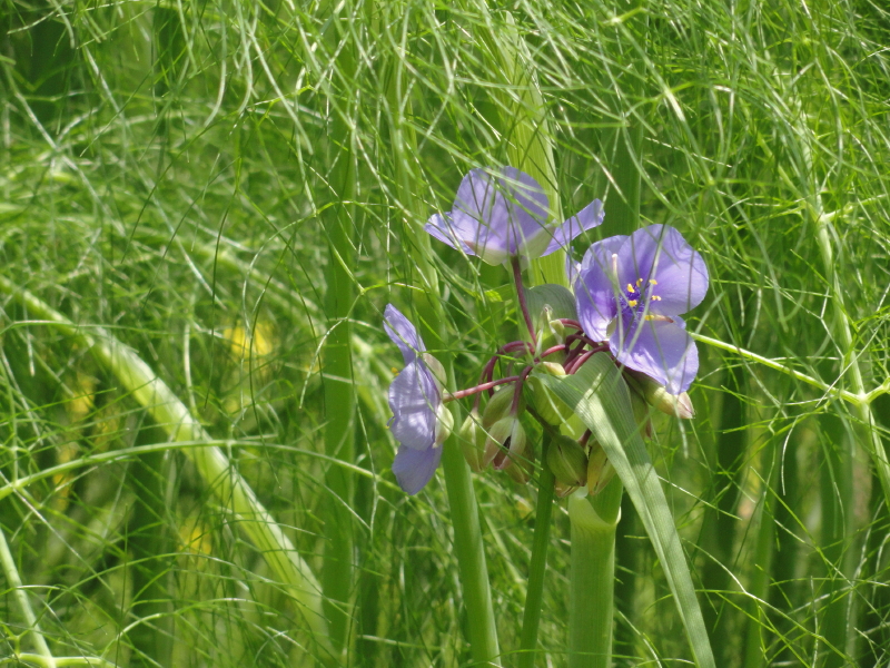 img0015.jpg