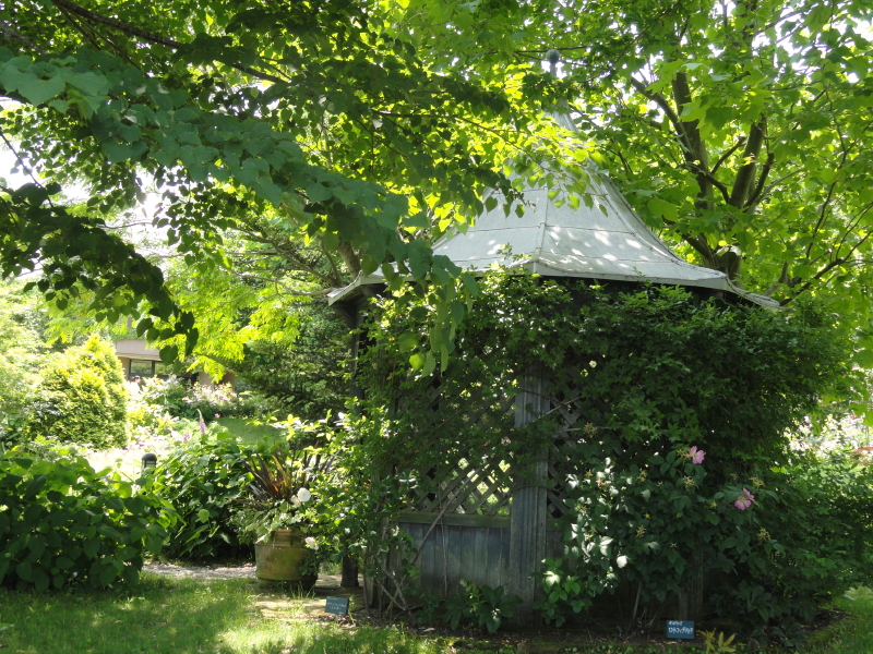 img0029.jpg