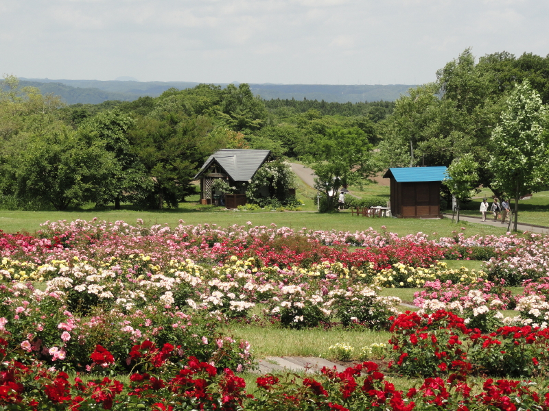 img0036.jpg