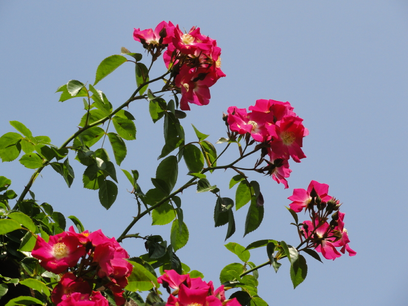 img0042.jpg