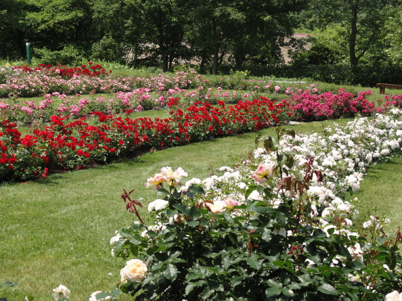 img0043.jpg