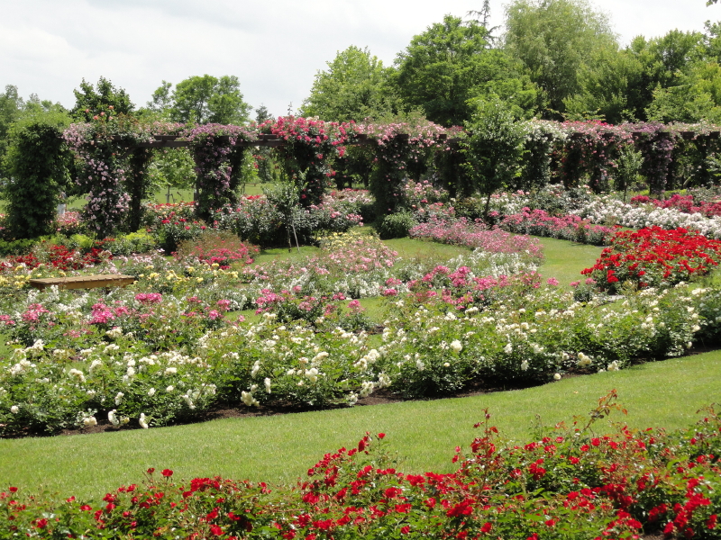 img0045.jpg