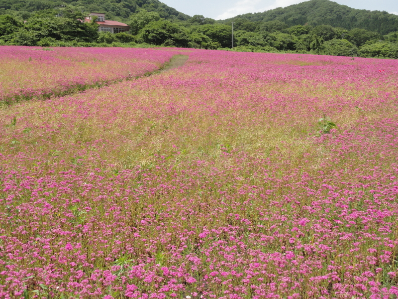 img0046.jpg