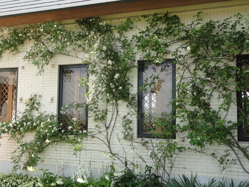 img0084.jpg