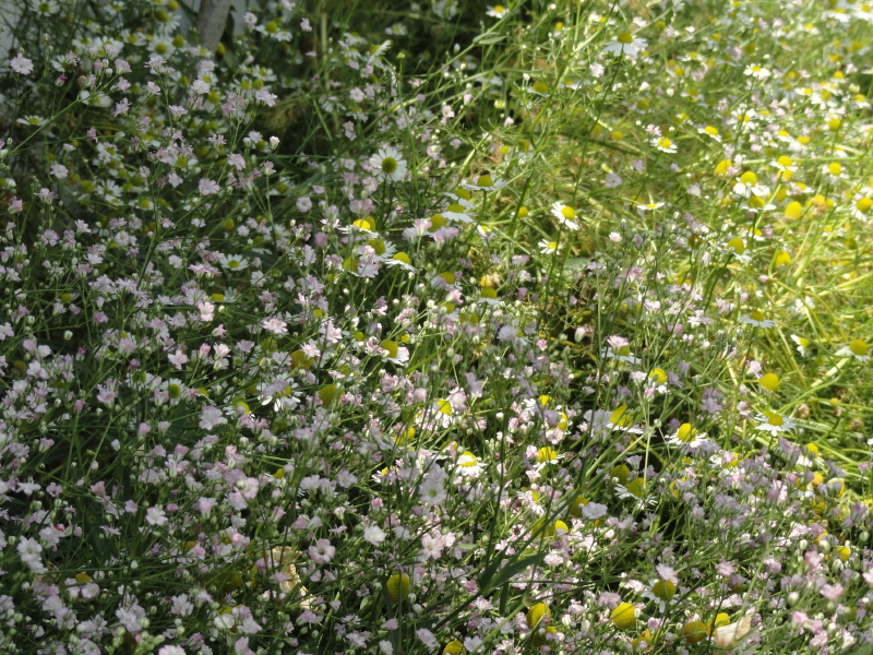 img0088.jpg