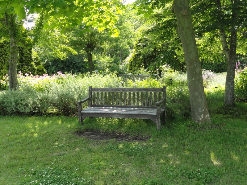 img0097.jpg