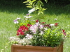 img0005.jpg