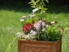 img0006.jpg