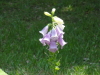 img0014.jpg