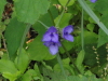 img0020.jpg