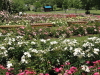 img0024.jpg