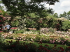 img0025.jpg