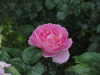 img0028.jpg